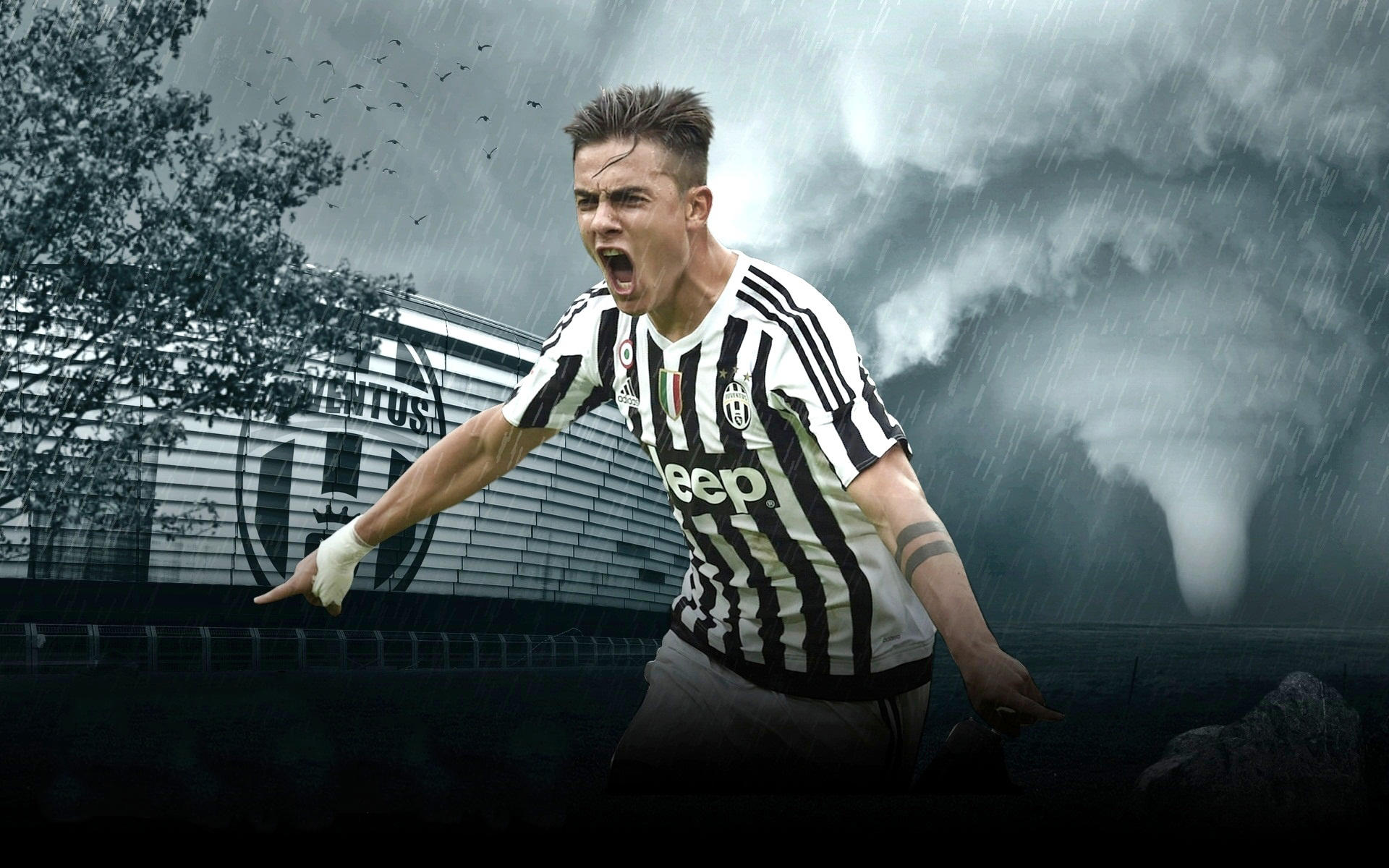 从三分倒数变神射大队！休赛期最稳补强？冷面杀手改写格局